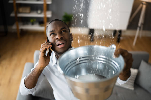Best Flood restoration services  in Pine Manor, FL