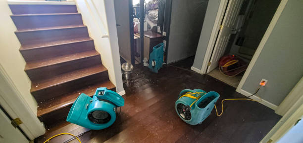 Best Residential water damage restoration  in Pine Manor, FL