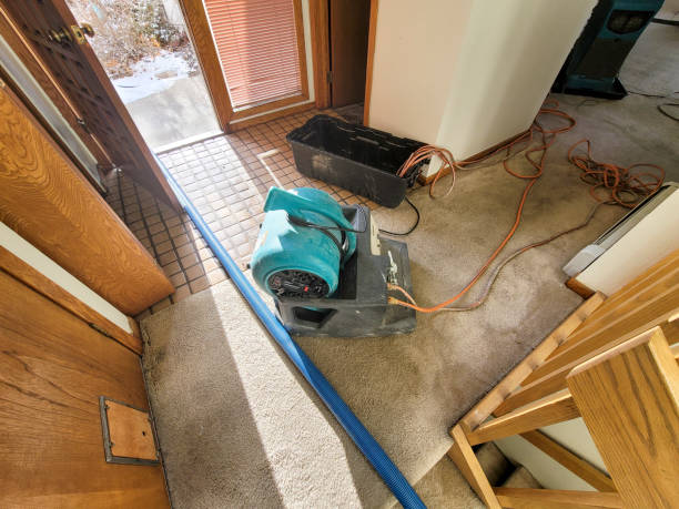 Best Water damage mitigation services  in Pine Manor, FL