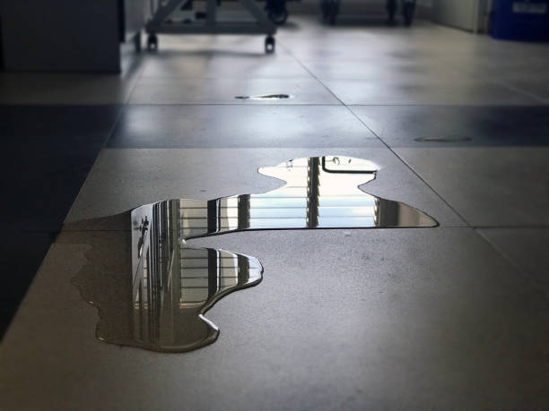 Best Water damage restoration near me  in Pine Manor, FL