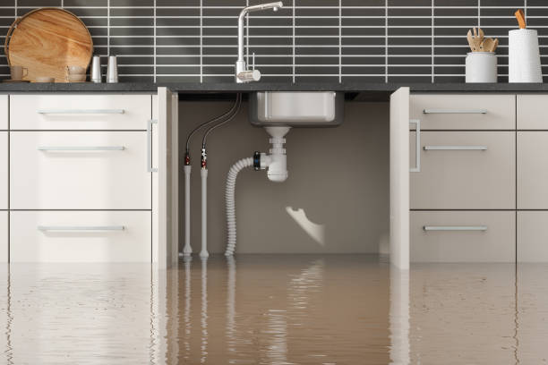 Best Emergency water damage restoration  in Pine Manor, FL