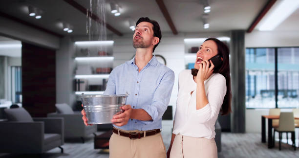 Best Water damage restoration company  in Pine Manor, FL